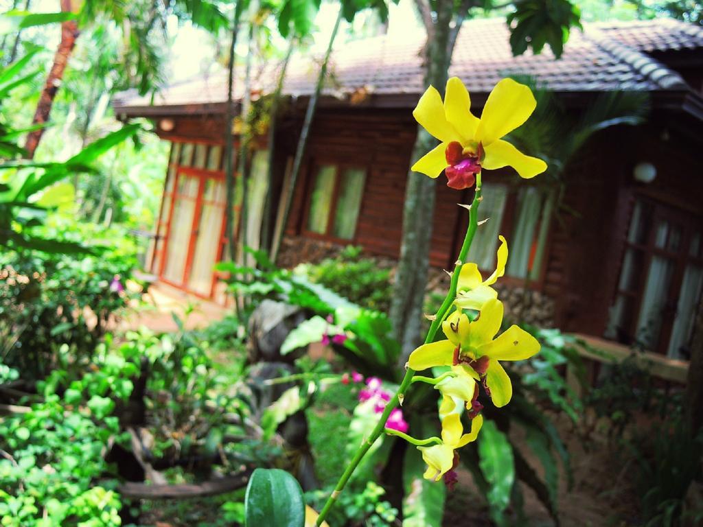 Polina Park Hotel Mae Nam Exterior foto
